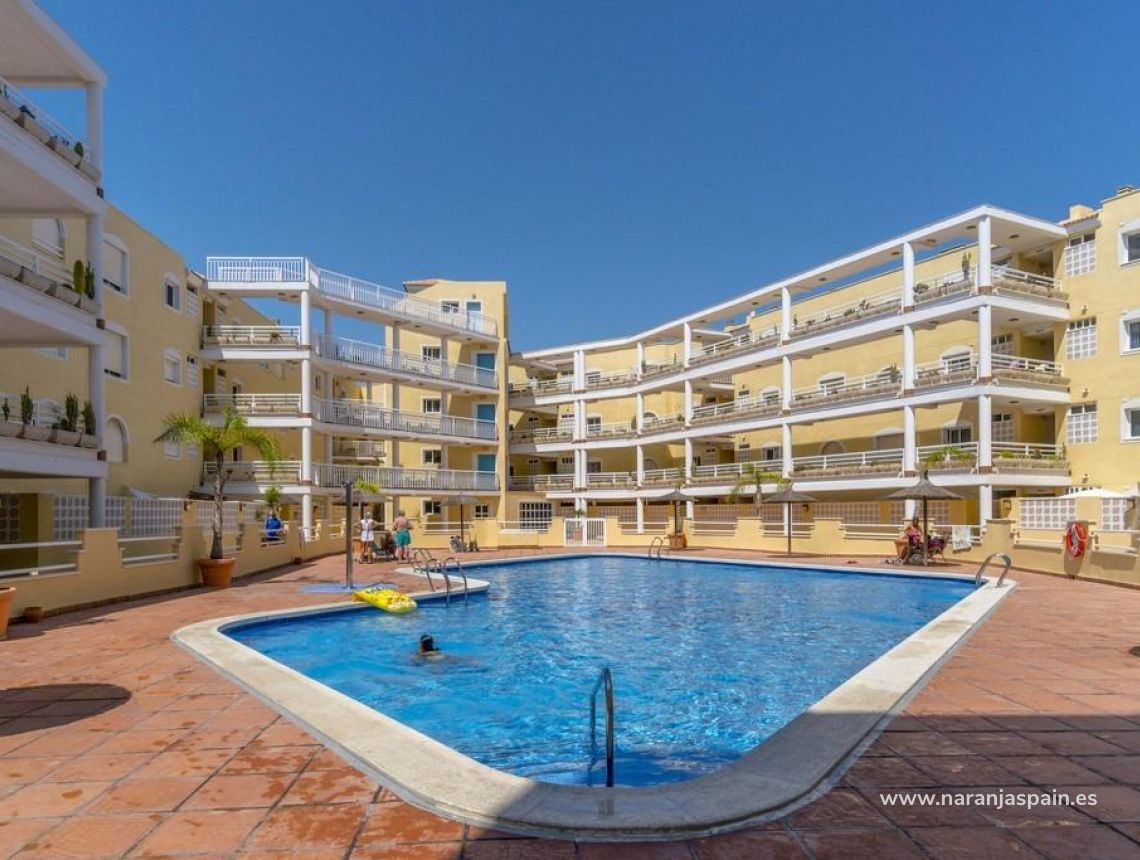 Parduodama - Apartamentai - Orihuela Costa - Campoamor