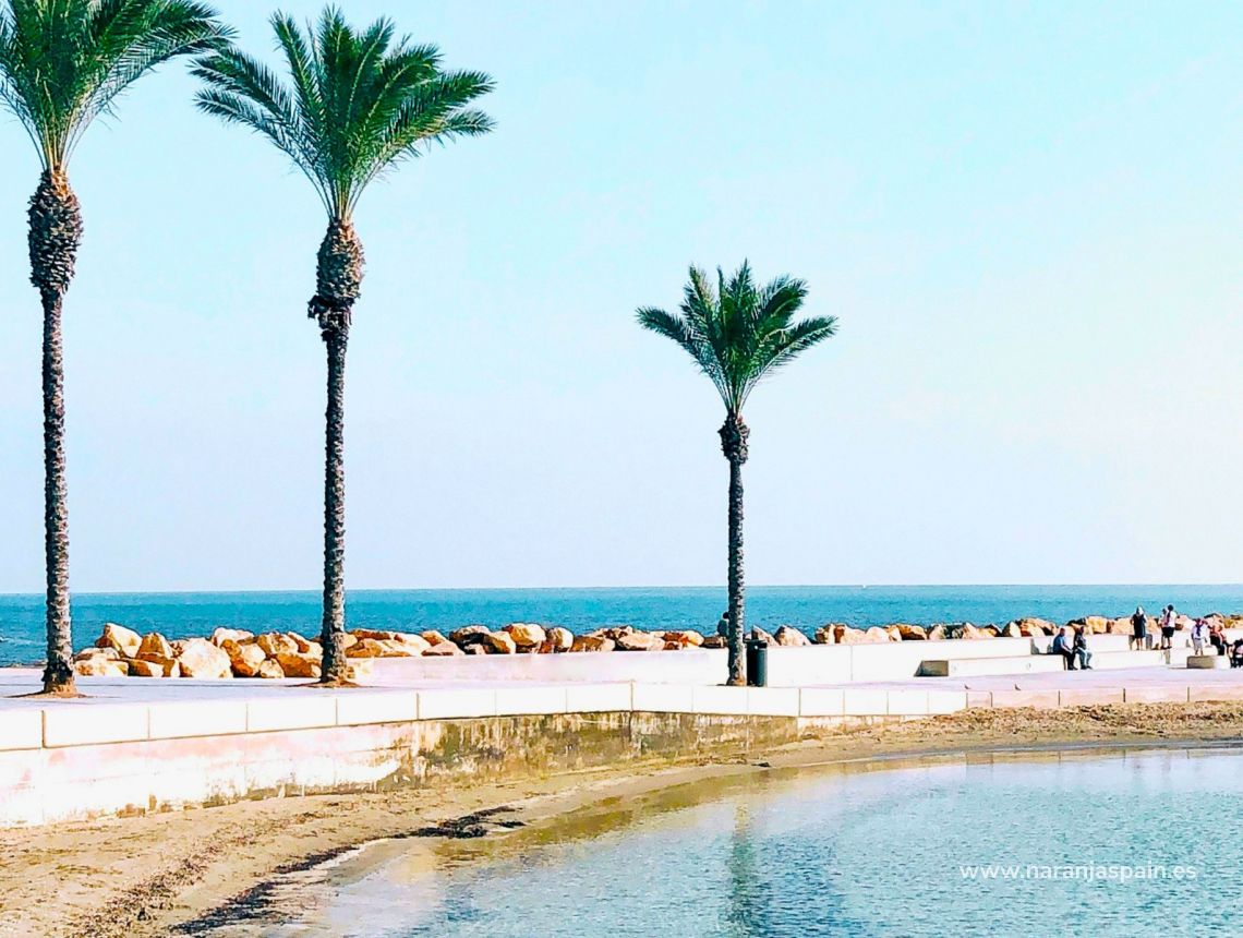 Parduodama - Apartamentai - Torrevieja - Acequion