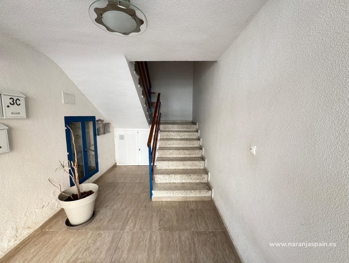 Parduodama - Apartamentai - Torrevieja - Centro