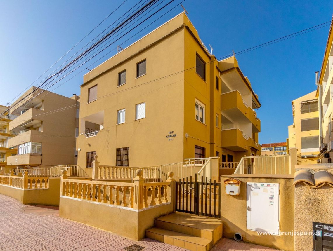 Parduodama - Apartamentai - Torrevieja - La Mata