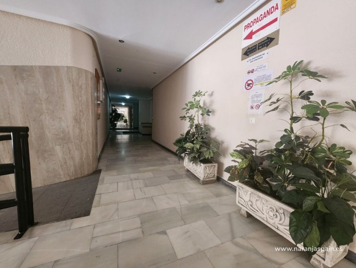 Parduodama - Apartamentai - Torrevieja - Playa del Acequión