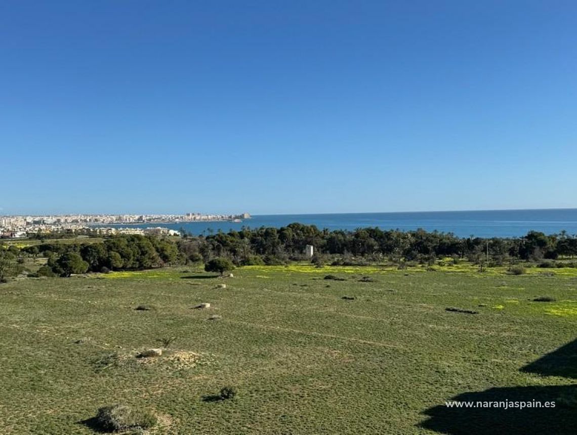 Parduodama - Apartamentai - Torrevieja - Punta prima