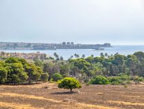 Parduodama - Apartamentai - Torrevieja - Punta prima