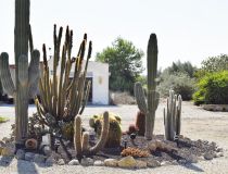 Parduodama - Užmiesčio sodyba - Callosa del Segura - Countryside