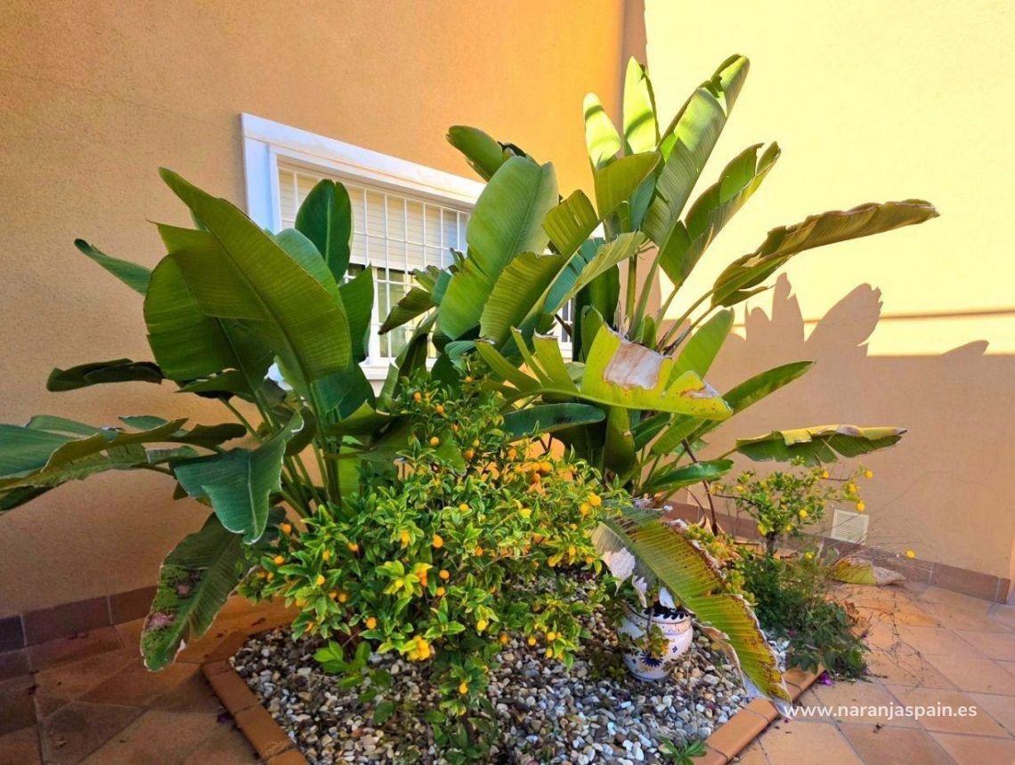 Parduodama - Villa - Dehesa de campoamor - Campoamor