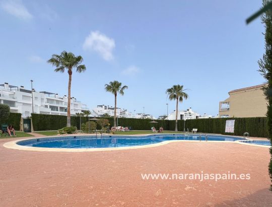 Пентхаус - Sale - Orihuela - Punta Prima