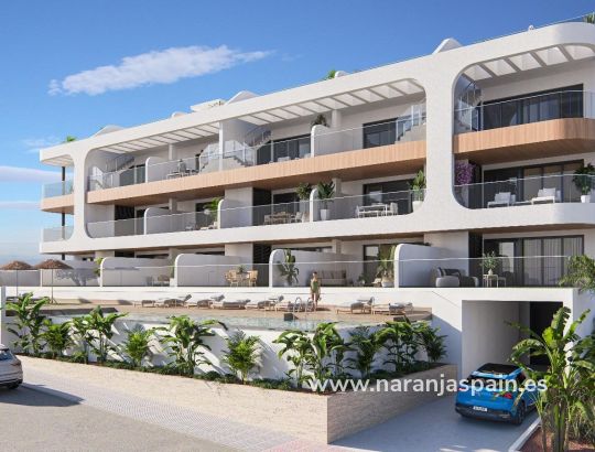 Penthouse  -  - Benijofar - Pueblo