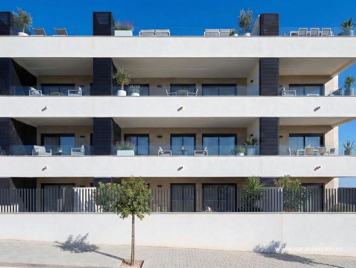  - Penthouse - Benijofar - Pueblo