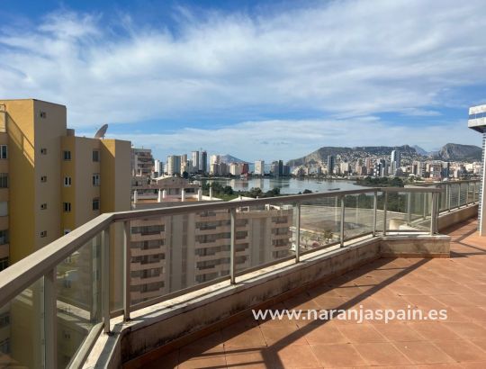 Penthouse  -  - Calpe - Playa De La Fossa