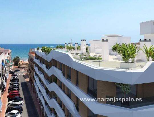 Penthouse  -  - Guardamar del Segura - Pueblo