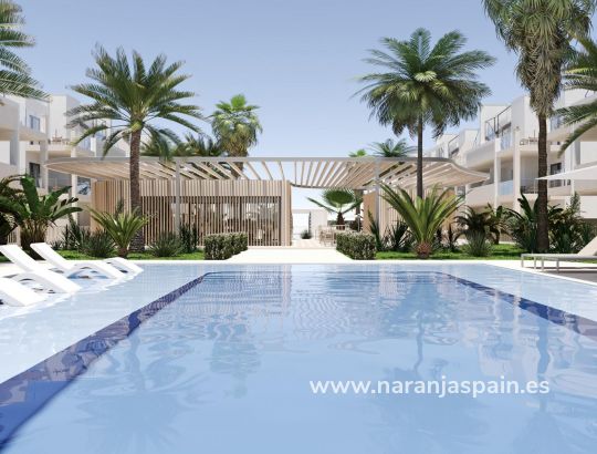 Penthouse  - Ny bolig - Torre Pacheco - San Cayetano