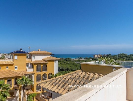 Penthouse  - Til Salgs - Orihuela Costa - Campoamor