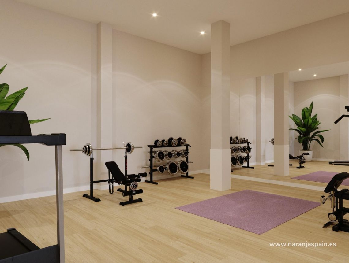  - Penthouses - Algorfa - Pueblo