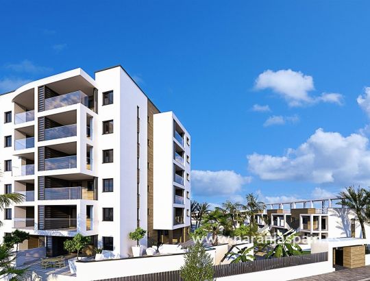 Penthouses - New build - Pilar de la Horadada - Mil Palmeras