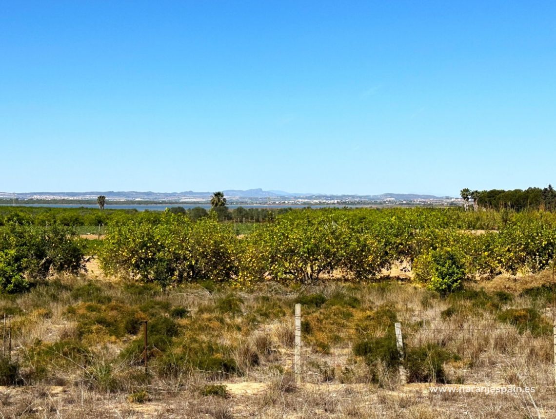 Sale - Adosado - Guardamar del Segura - El Moncayo