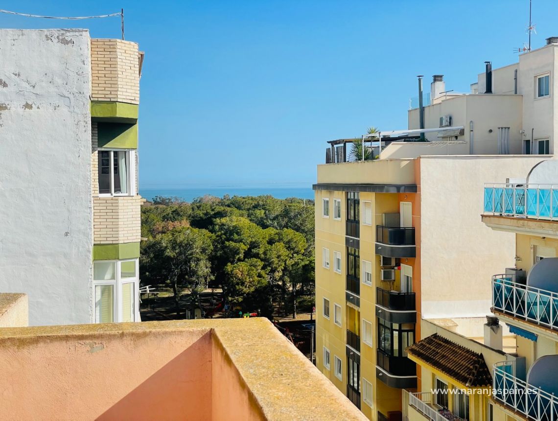 Sale - Apartment - Guardamar del Segura - Guardamar
