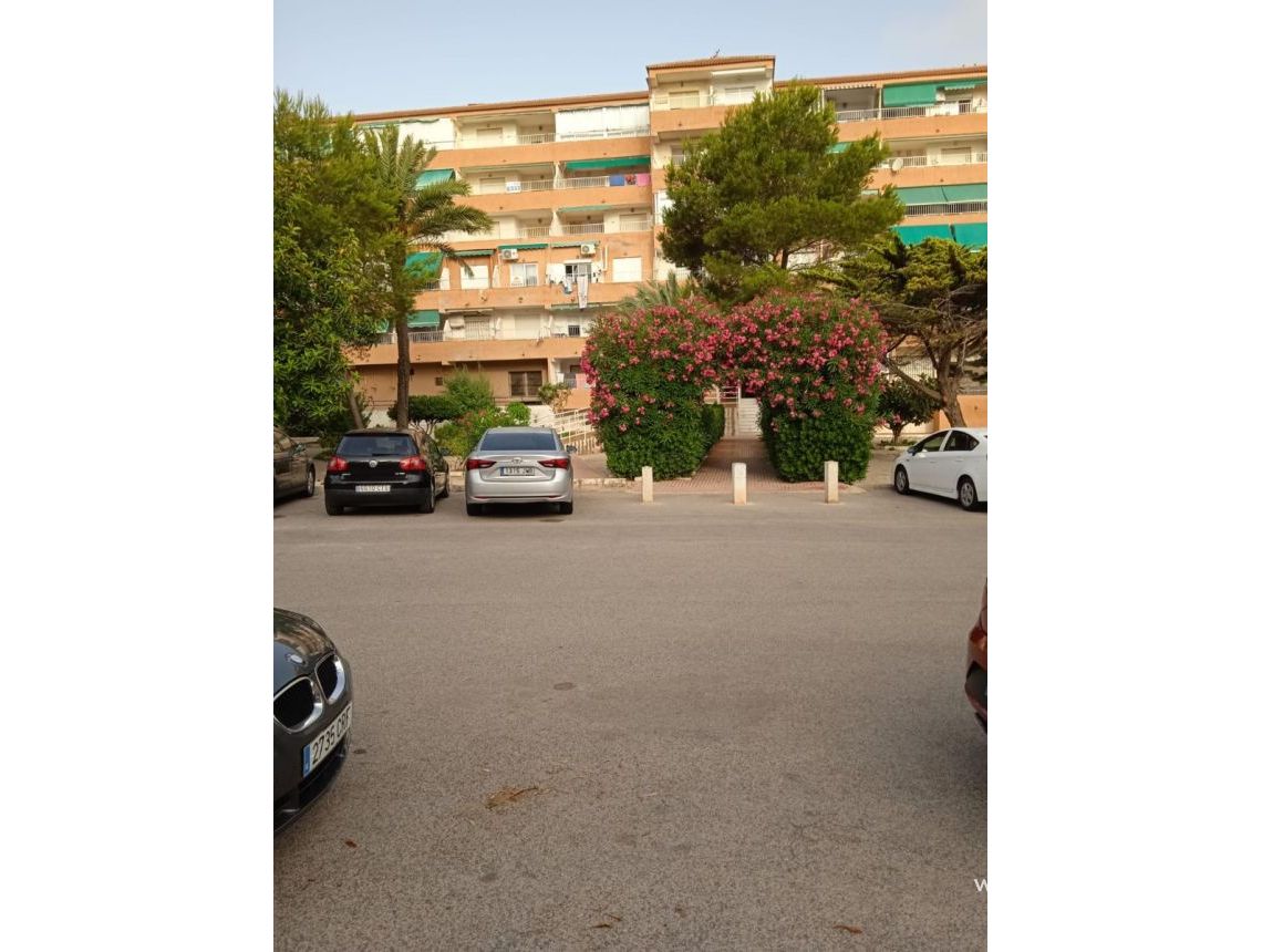 Sale - Apartment - Guardamar del Segura - Pinomar
