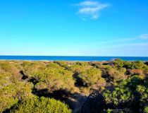 Sale - Apartment - Guardamar del Segura - Pinomar