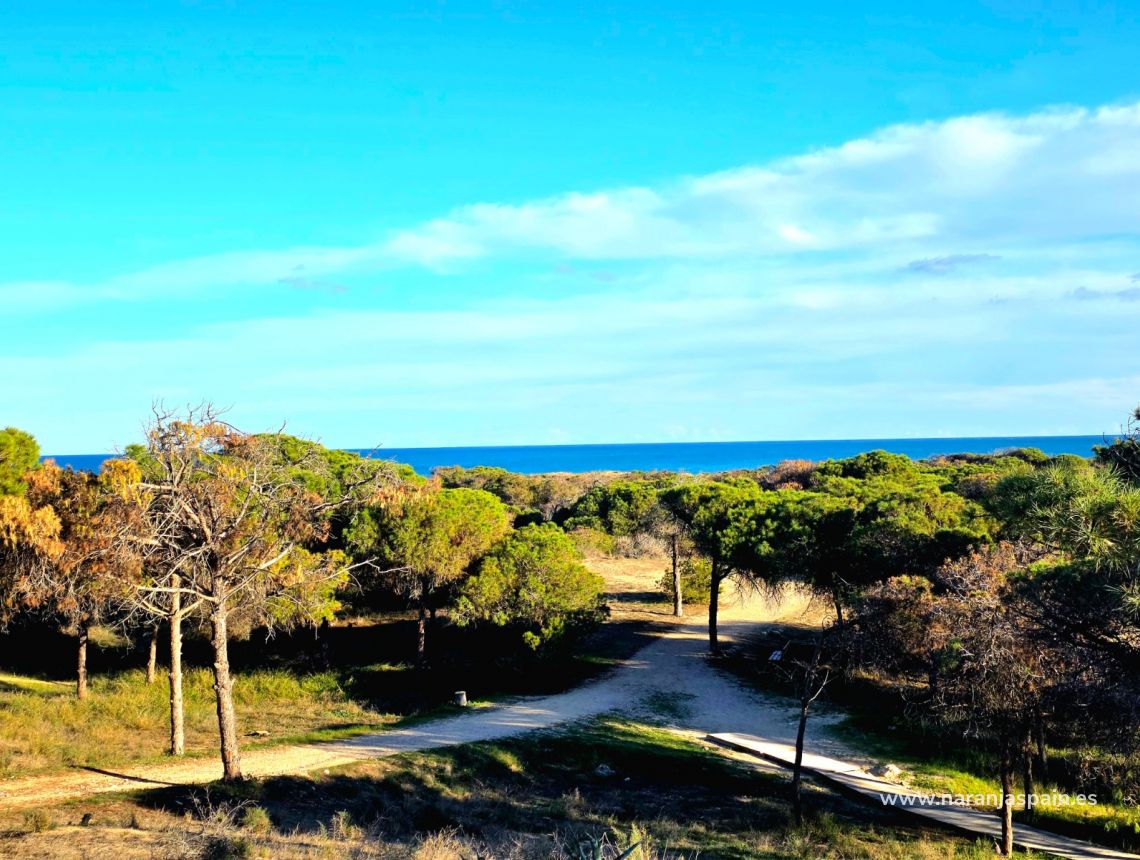 Sale - Apartment - Guardamar del Segura - Pinomar