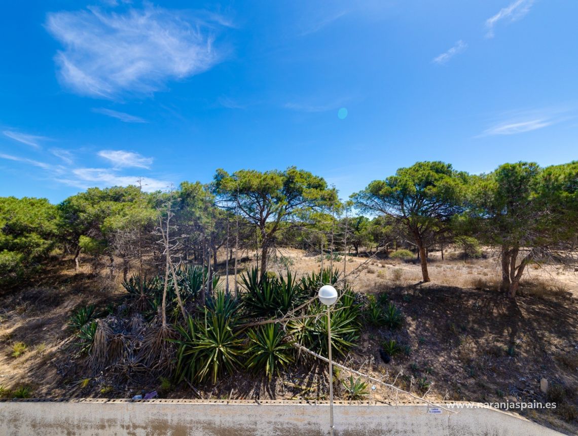 Sale - Apartment - Guardamar del Segura - Pinomar