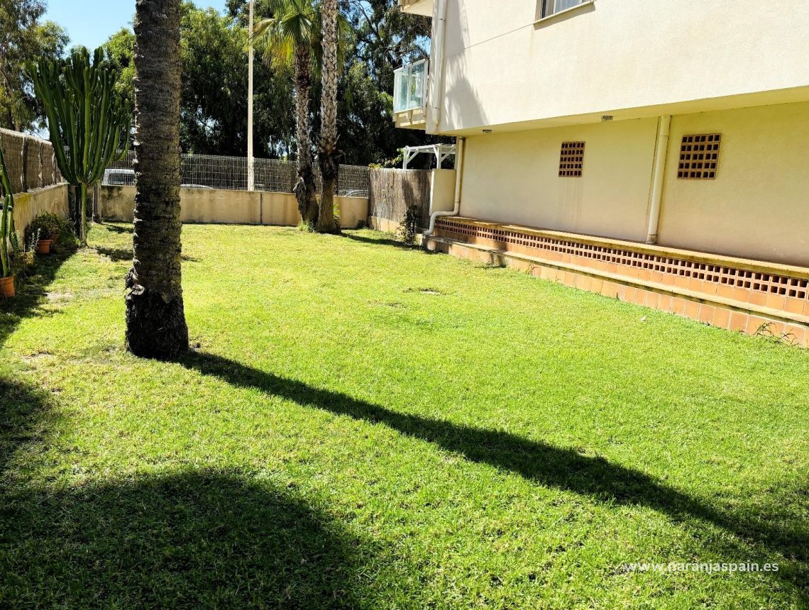 Sale - Apartment - Guardamar del Segura - Puerto