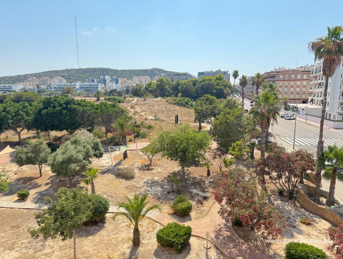 Sale - Apartment - Guardamar del Segura - South Park