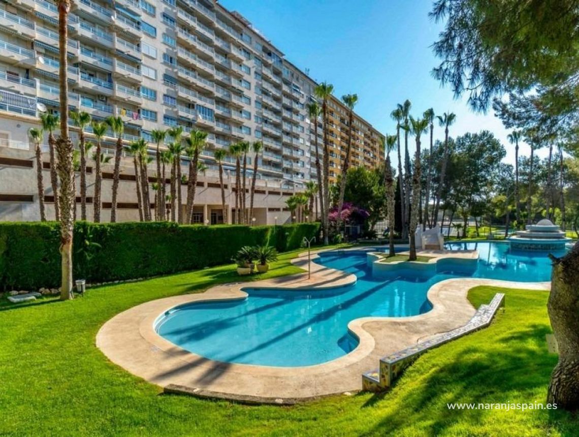Sale - Apartment - Orihuela Coast - Altos de Campoamor