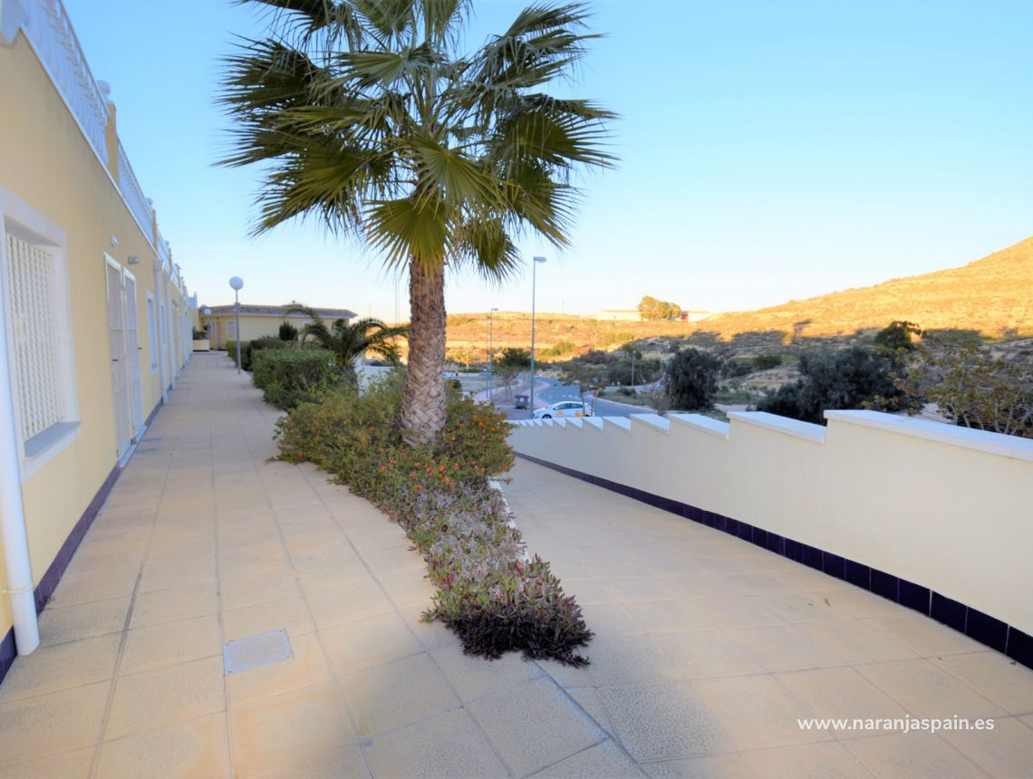 Sale - Apartment - Rojales - Ciudad Quesada