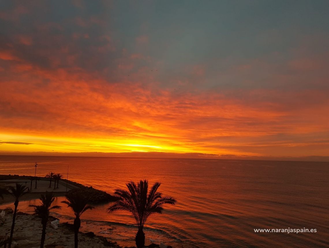 Sale - Apartment - Torrevieja - Playa del cura