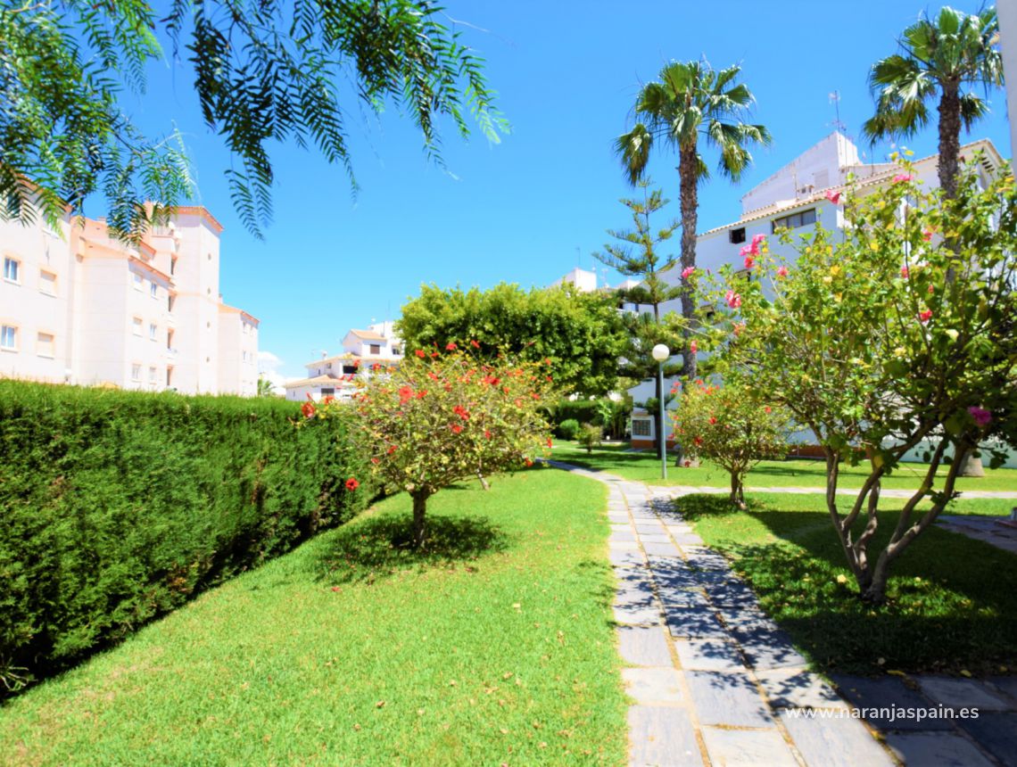 Sale - Apartment - Torrevieja - Torrevieja town