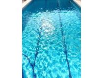 Sale - Бунгало - Торевьеха - Los Frutales