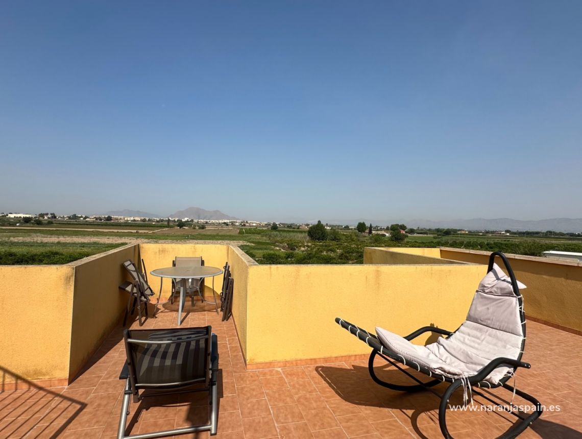 Sale - Bungalows - Daya Nueva