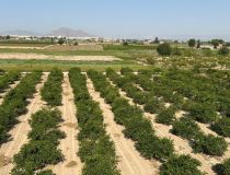 Sale - Bungalows - Daya Nueva