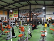 Sale - Commercial property - Rojales - Ciudad Quesada