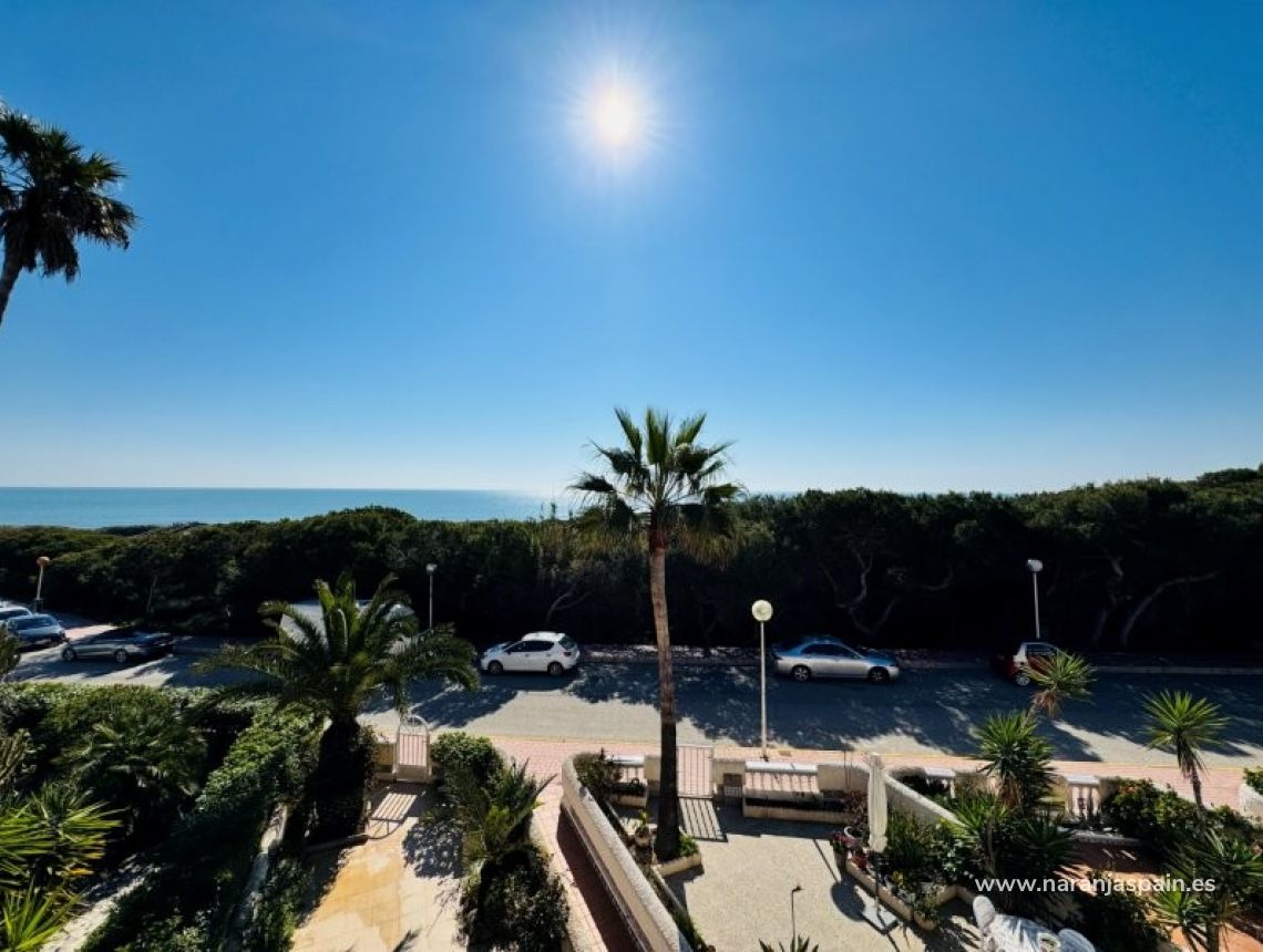 Sale - Duplex - Guardamar del Segura - Los secanos