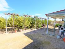 Sale - House - San Miguel de Salinas