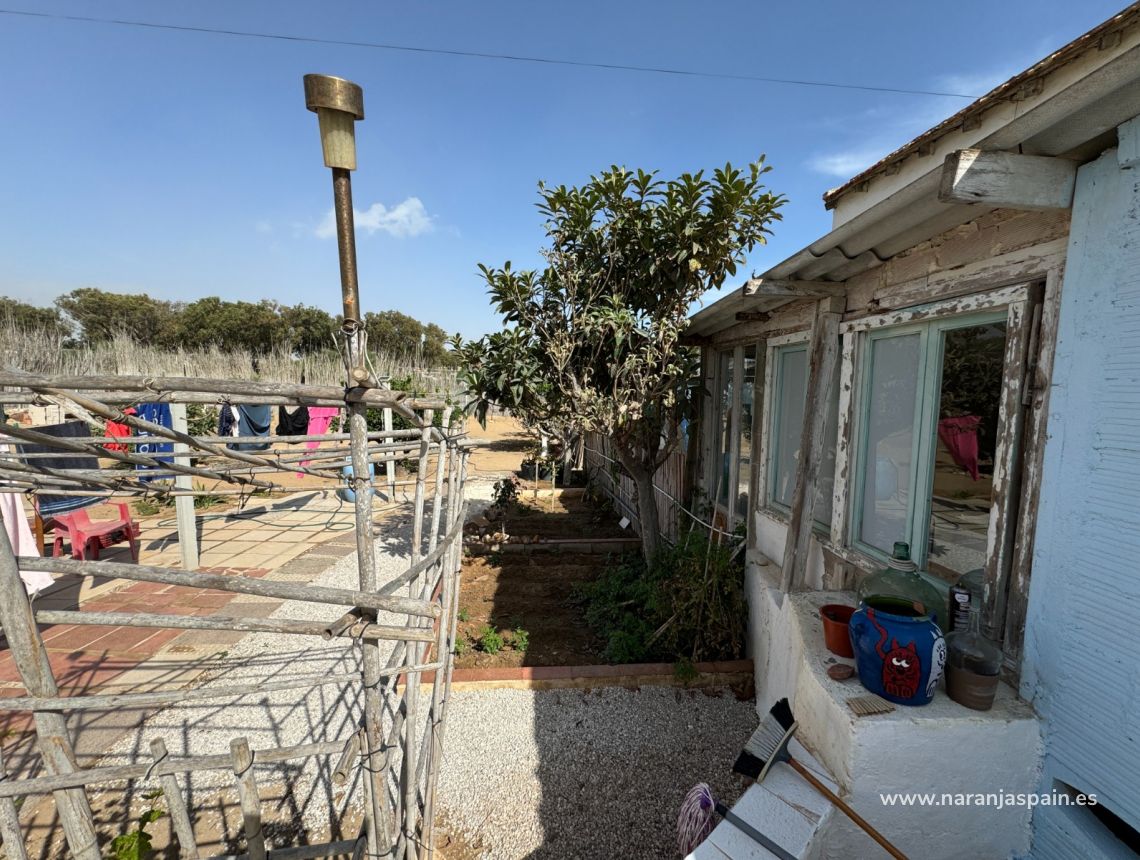 Sale - Hus - Guardamar del Segura - Strand Guardamar