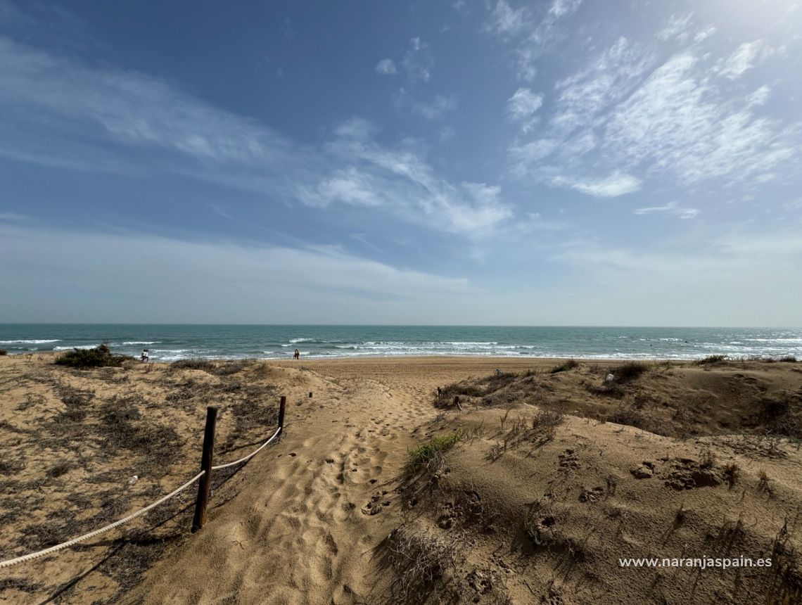 Sale - Hus - Guardamar del Segura - Strand Guardamar