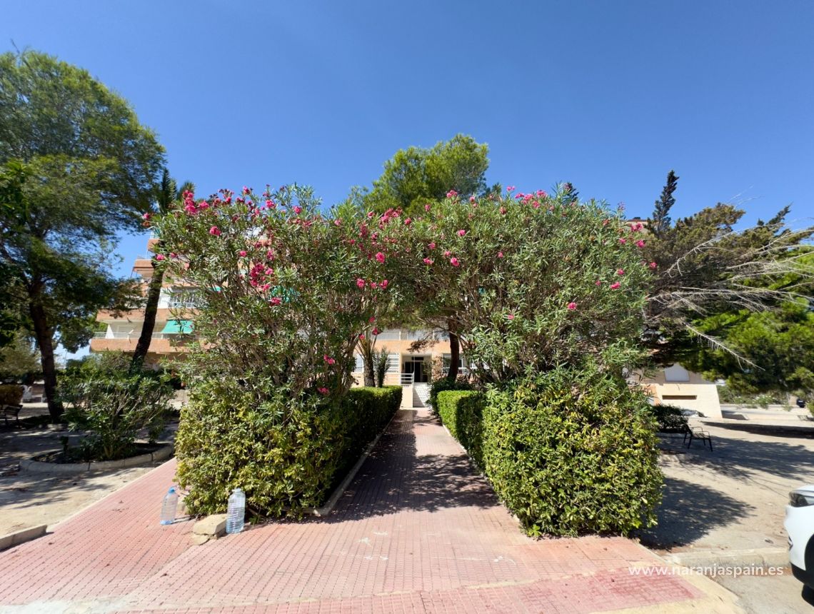 Sale - Lägenhet - Guardamar del Segura - Pinomar