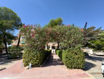 Sale - Lägenhet - Guardamar del Segura - Pinomar