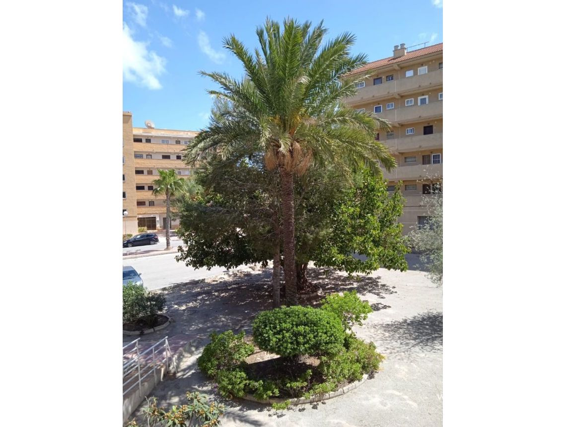 Sale - Lägenhet - Guardamar del Segura - Pinomar