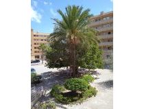 Sale - Lägenhet - Guardamar del Segura - Pinomar