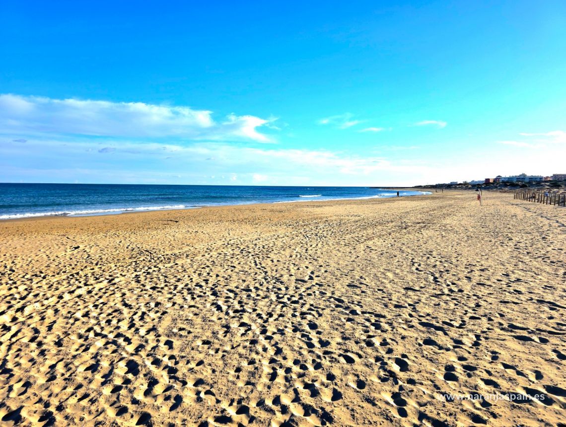 Sale - Lägenhet - Guardamar del Segura - Pinomar