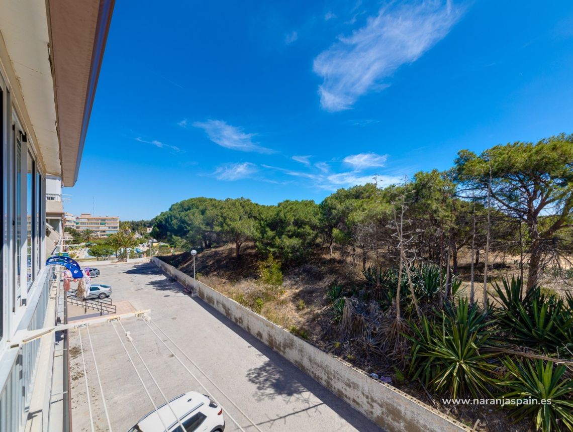 Sale - Lägenhet - Guardamar del Segura - Pinomar