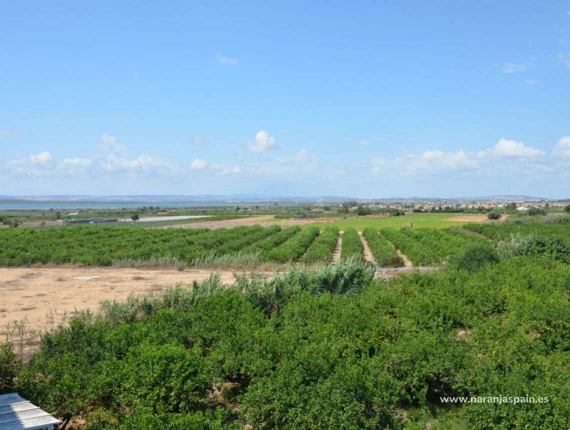 Sale - Lägenhet - Guardamar del Segura - Urb. Portico Mediterraneo