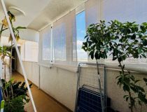 Sale - Lägenhet - Torrevieja - Aguas nuevas 1