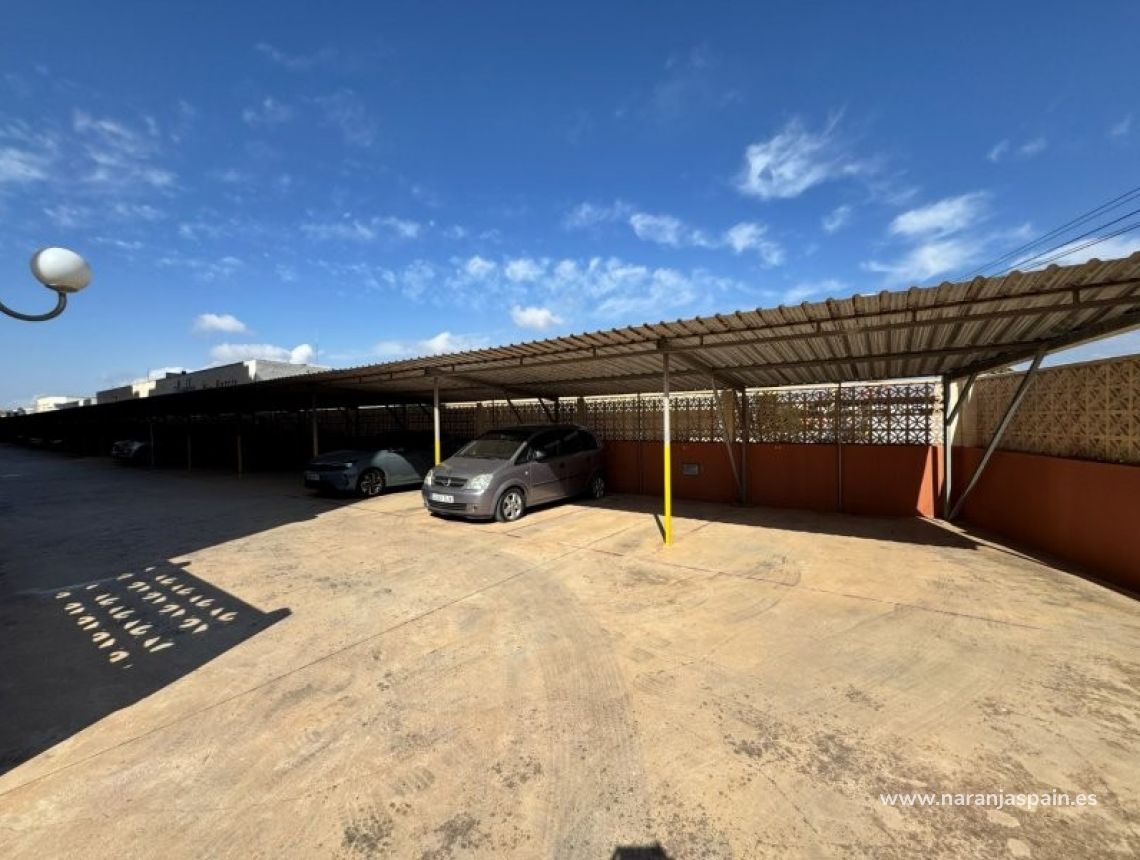 Sale - Lägenhet - Torrevieja - Aguas nuevas 1