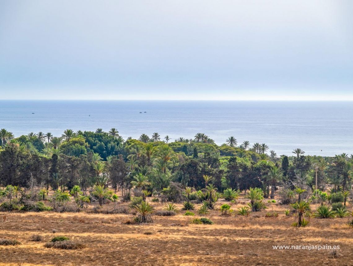 Sale - Lägenhet - Torrevieja - Punta prima