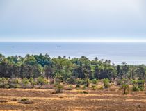 Sale - Lägenhet - Torrevieja - Punta prima