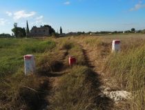 Sale - Land - Callosa del Segura - Callosa De Segura